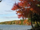 Golden Color on Manistee Lake