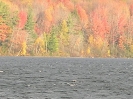 Golden Colors on Manistee Lake